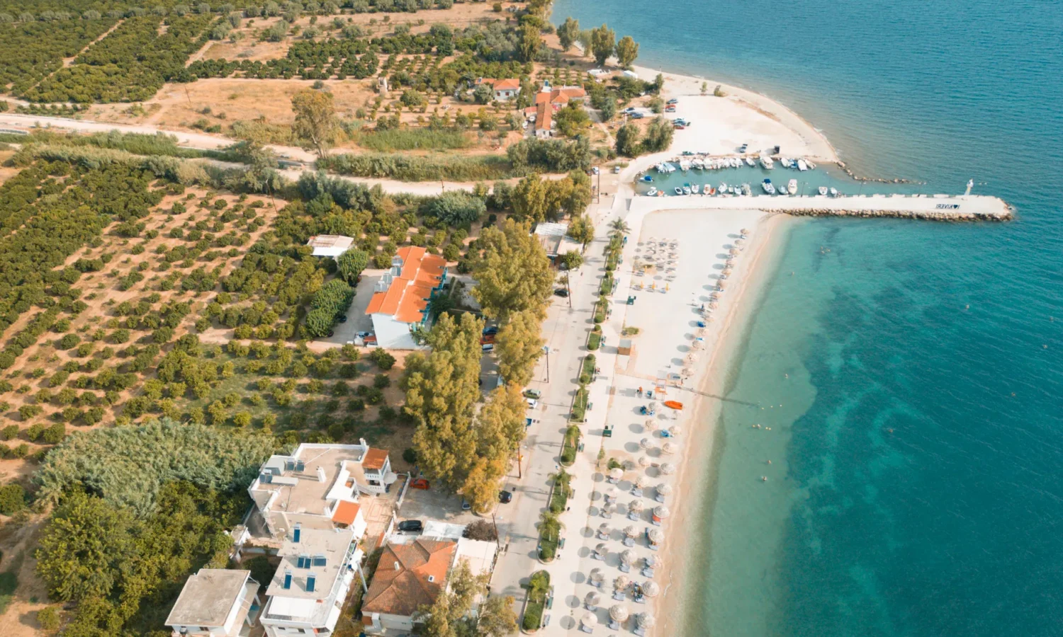 Beach Front Plot in Greece-8