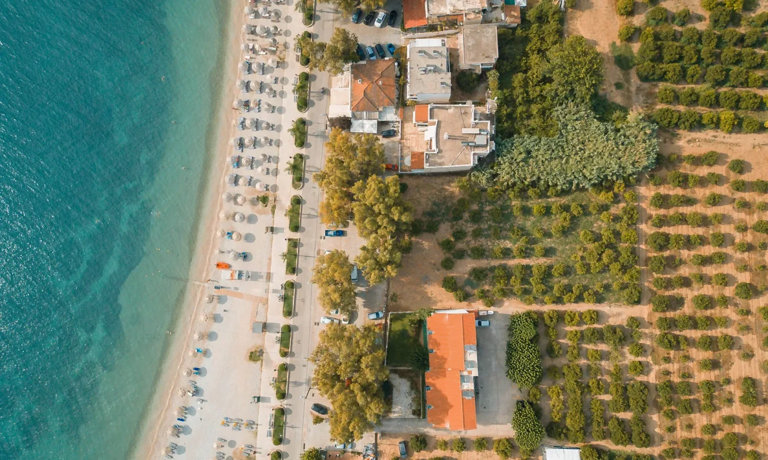 Beach Front Plot in Greece-8