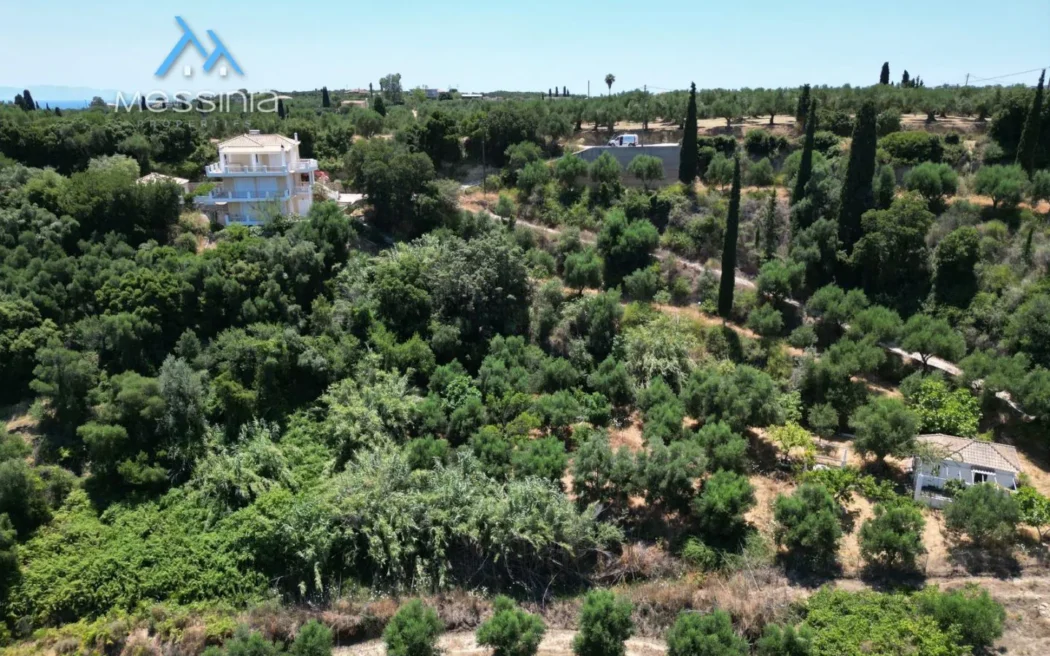 Villa with Guest Studio & Olive Grove in Koroni