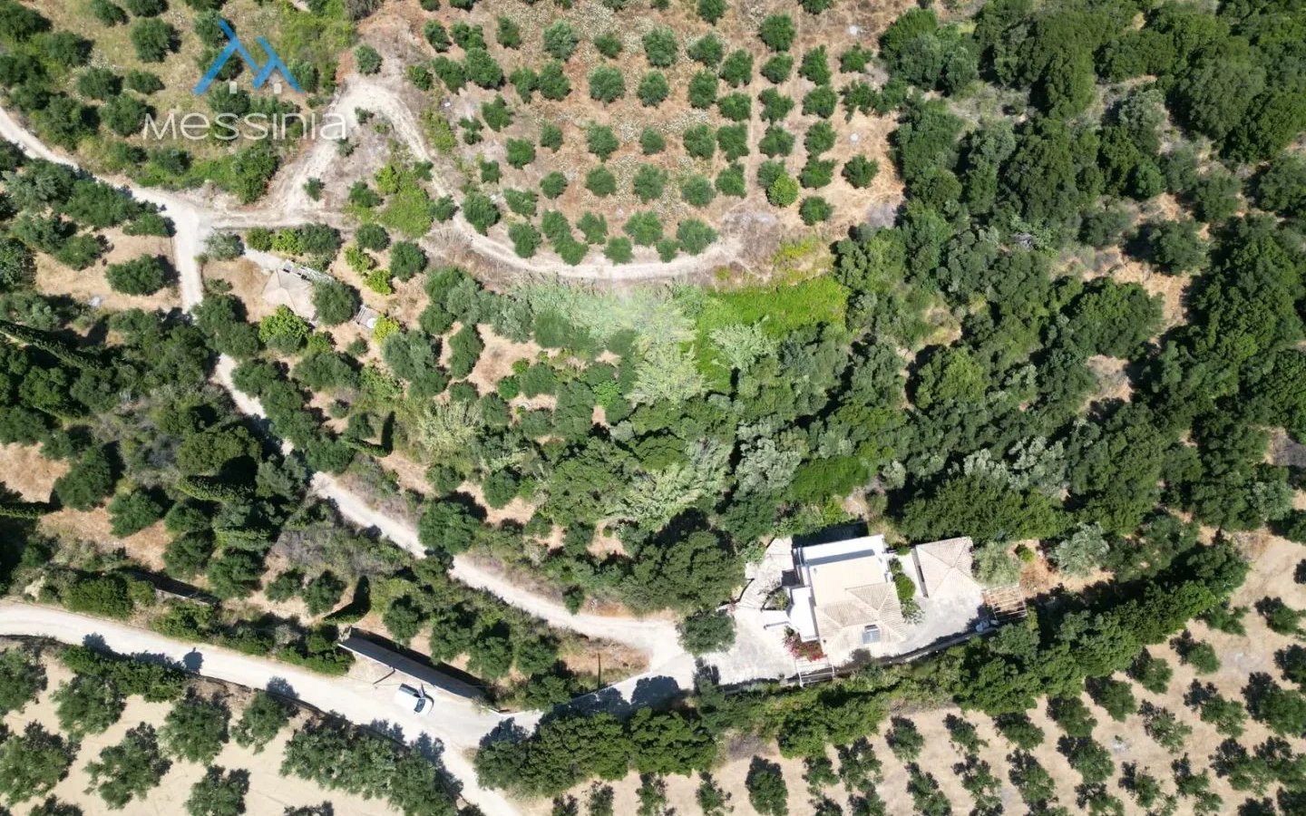 Villa with Guest Studio & Olive Grove in Koroni